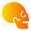 Skull Icon
