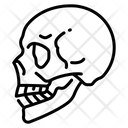 Skull  Icon