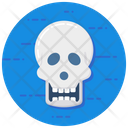 Skull Human Skull Skull Anatomy Icon