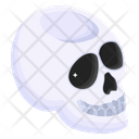 Skull  Icon