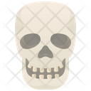 Skull Human Head Icon