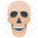 Halloween Skull Skull Death Icon