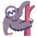 Sloth Two Toed Sloths Three Toed Sloths Icon