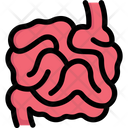 Anatomy Organ Biology Icon