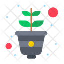 Small Plant Icon