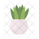 Small Tabletop Plant Icon