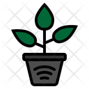 Nature Wifi Iot Internet Things Icon