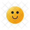 Smiling Face Akward Face Face Icon