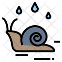 Snail Wet Moisture Icon