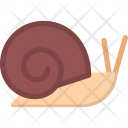 Snail Animal Icon