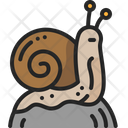 Snail Wildlife Shell Icon