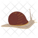 Snail Animal Wildlife Icon