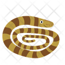 Snake Animal Zoo Icon