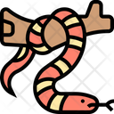 Snake Cobra Serpent Icon