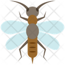Snakefly Icon