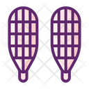 Snow Shoes Icon