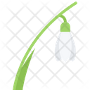Snowdrop  Icon