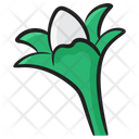 Snowdrop Galanthus Nature Icon