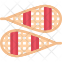 Snowshoes  Icon