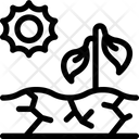Soil Dry  Icon