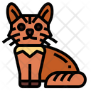 Somali Cat  Icon