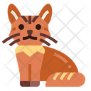 Somali Cat  Icon