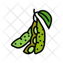 Soy Leaf Icon