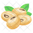 Soy Seeds Icon