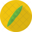 Soybeans Vegetable Food Icon