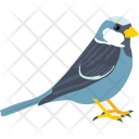 Sparrow Icon