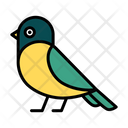 Sparrow Colorful Bird Bird Icon