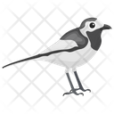 Sparrow Bird Gauraiya Bird Icon