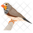 Sparrow Bird Gauraiya Bird Icon