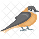 Bird Feather Creature House Sparrow Icon