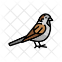 Sparrow Bird Animal Icon