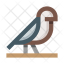 Sparrow Bird Falcon Icon