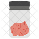 Specimen In Bottle  Icon