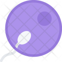 Sperm  Icon