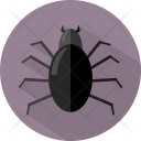 Spider Insect Mistery Icon