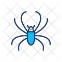 Spider Arachnid Insect Icon