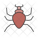 Spider Insect Animal Icon