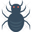 Halloween Spider Web Icon