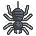 Spider Spooky Scary Icon