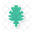 Vegetable Leaf Spinach Icon