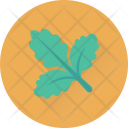 Spinach Lettuce Vegetable Icon