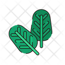 Spinach Fresh Vegetables Icon