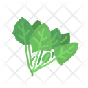 Spinach Icon