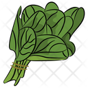 Spinach Leafy Vegetable Vegetable Icon