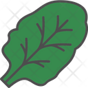 Spinach Chard Leaf Icon