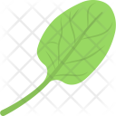 Spinach Leaves Vegetable Icon